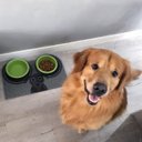 Ver imagem 2 de Tapete Vinil Hora Do Lanche Dog 40x60cm - Kapazi