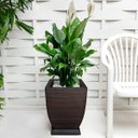 Ver imagem 3 de Vaso de Planta Decorativo em polietileno Plastico Foster Plast 45x35 cm - Marrom Café