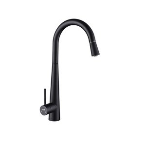 Torneira Gourmet Monocomando Preto Fosco