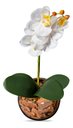 Ver imagem 3 de Arranjo Centro De Mesa Orquídea Branca Artificial Vaso