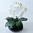 Ver imagem 2 de Arranjo 2 Orquídeas Artificiais em Vaso Preto Luma