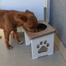 Comedouro Elevado Cachorro Grande Pet Mdf 20cm - 6