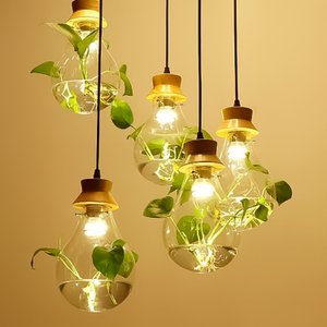 Pendente para Plantas, Vidro e Madeira, Rosca E-27, Lexlight
