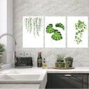 Ver imagem 1 de Kit 3 Quadros Minimalistas Plantas 24x18cm - com Vidro:moldura Branca
