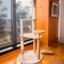 Ver imagem 3 de Árvore de Gatos Arranhador Brinquedo Torre Cama Toca Grande 115cm