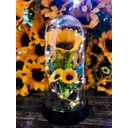 Ver imagem 1 de Luminária Girassóis Encantados a Bela e a Fera Grande Amor Lindo Boutique Lumi G Gir Triplo