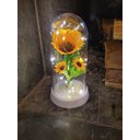 Ver imagem 2 de Luminária Girassóis Encantados a Bela e a Fera Grande Amor Lindo Boutique Lumi G Gir Triplo