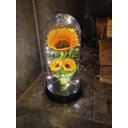 Ver imagem 4 de Luminária Girassóis Encantados a Bela e a Fera Grande Amor Lindo Boutique Lumi G Gir Triplo