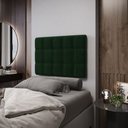 Ver imagem 1 de Painel Rana 100 / Z-018 Sued Verde