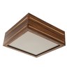 Luminária Decorativa Madeira Plafon Ilhota Nog 20cm:Pau Ferro - 7