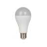 Lâmpada LED bulbo A65 autovolt 15W 6500K 1311lm Ecoforce - 1