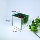 Ver mais imagens de Vaso Espelhado 10x10 c/ Musgo Natural e Pendentes de Hera 2m