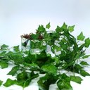 Ver imagem 6 de Vaso Espelhado 10x10 C/ Musgo Natural e Pendentes de Hera 2m