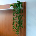 Ver imagem 2 de Vaso Espelhado 10x10 C/ Musgo Natural e Pendentes de Hera 2m