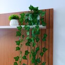 Ver imagem 5 de Vaso Espelhado 10x10 C/ Musgo Natural e Pendentes de Hera 2m