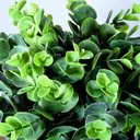 Ver imagem 3 de Arranjo de Eucaliptos Artificiais em Vaso de Vidro Dandara