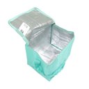 Ver imagem 3 de Bolsa Térmica Poliéster 24 Latas Praia Piscina Ziper Bel:ciano