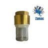 Válvula de Retenção Fundo de Poço 3/4 ou 1 Polegada Zamac com Tela Hf - 2