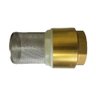 Válvula de Retenção Fundo de Poço 3/4 ou 1 Polegada Zamac com Tela Hf - 3