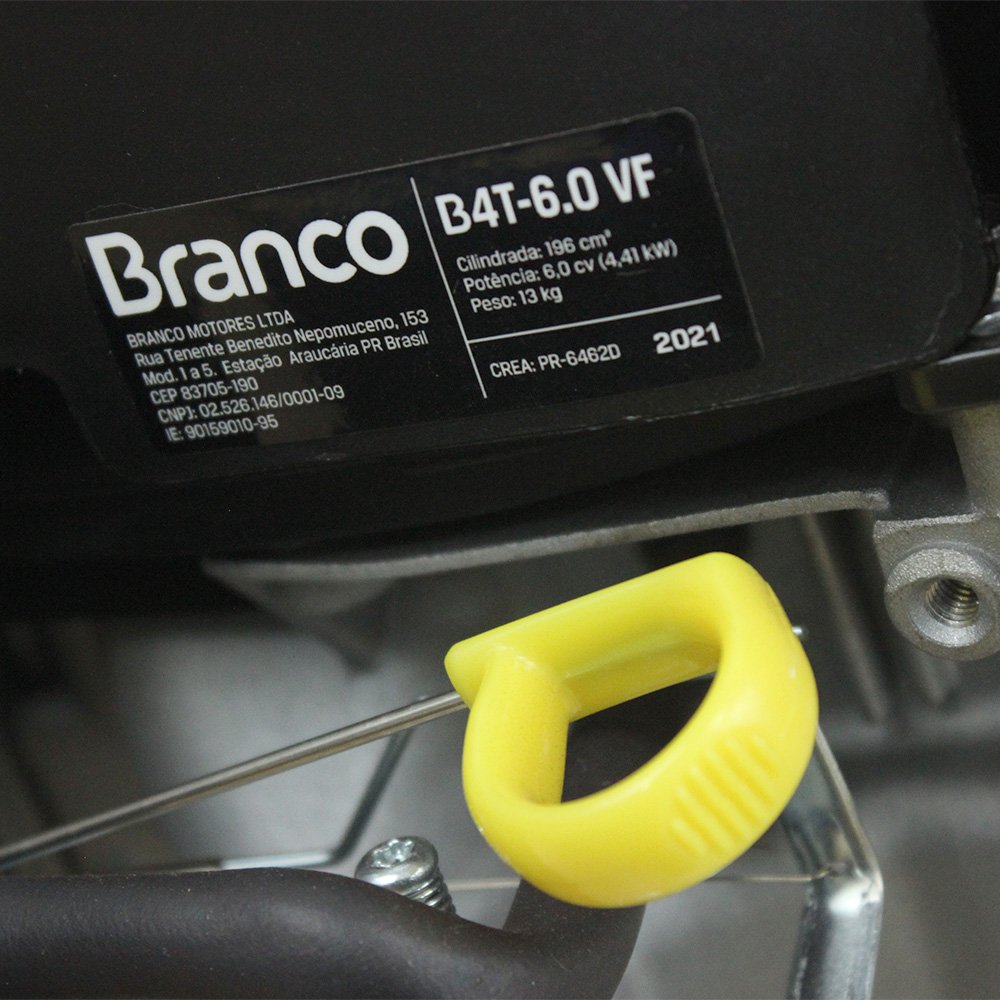 MOTOR VERTICAL B4T 6,0 CV EIXO LONGO BRANCO - 6