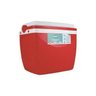CAIXA TERMICA MOR 18 LITROS - 25108182 - 1