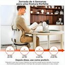 Ver imagem 5 de Almofada de Apoio Lombar para Cadeira Correção de Postura Coluna Tamanho Gg Azul Ergonômica
