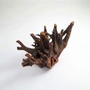 Ver imagem 2 de Base Raiz Natural para Mesa de Jantar em Madeira de Eucalipto Verniz Fosco Tamanho m Cor:Natural