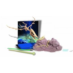 Kit de Escavação - Pterossauro - 4M - 2