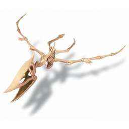 Kit de Escavação - Pterossauro - 4M - 3