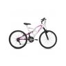 Bicicleta Mormaii Aro 24 Full Big Rider 21V C18 - 1