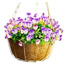 Ver imagem 3 de Vaso Cuia Fibra de Coco Gigante Completo