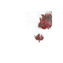 Ver imagem 5 de Kit 50 Placas Buchinho 40 X 60cm Muro Inglês Jardim Vertical