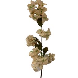 BUQUE BUGAINVILLE CREME FLORES 95 cm X6 - 1