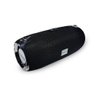 Caixa de Som Bluetooth Portátil com Fm 20W Modelo Rad365Z Inova - Preto - 1