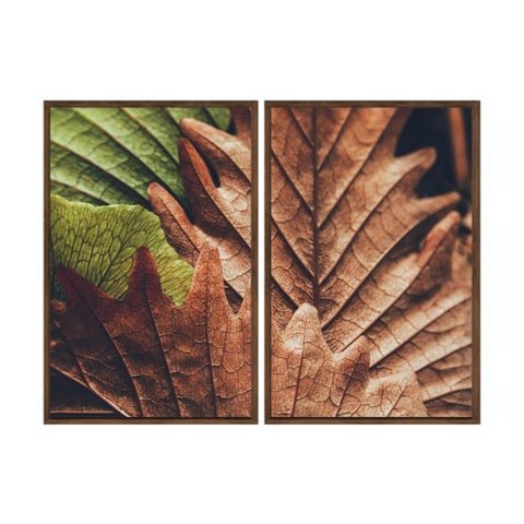 Kit 02 Quadros Decorativos - Natureza Folha Macro Flnt070 - Tela Canvas - 60x80cm