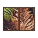 Ver imagem 1 de Kit 02 Quadros Decorativos - Natureza Folha Macro Flnt070 - Tela Canvas - 60x80cm