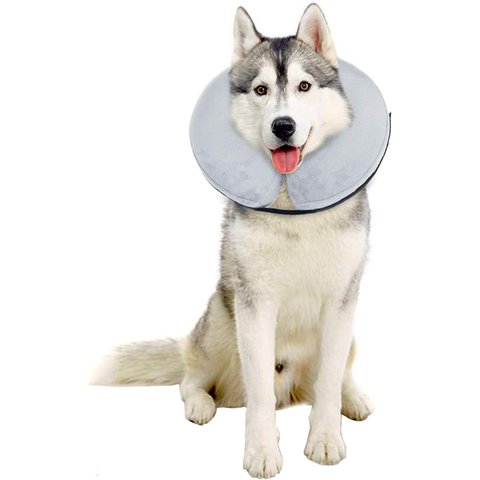 Bencmate Coleira Inflável Protetora para Pets Cinza (gg)
