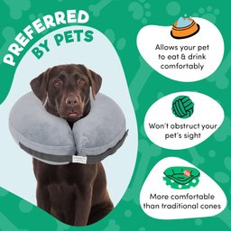 Bencmate Coleira Inflável Protetora para Pets Cinza (gg) - 8