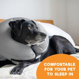 Bencmate Coleira Inflável Protetora para Pets Cinza (gg) - 5