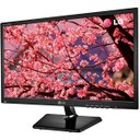 Ver imagem 4 de Monitor Lg LED 19,5´ Hd D-Sub/Vesa Preto 20M37Aa