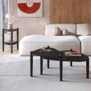 Ver imagem 2 de Conjunto Sala Estar Mesa Centro Lateral Orgânica Pé Madeira Nero/preto