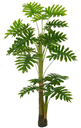 Ver imagem 1 de Planta Árvore Artificial Philo Real Toque X19 Verde 1,25m