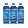 Kit 3 Algicidas de Manutenção Previne Algas 1l - Cris Água - 1