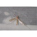 Ver imagem 5 de Tela Mosquiteira Anti Inseto em Nylon 1,20 x 45,00 metros - Verde