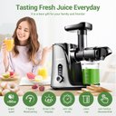 Ver imagem 3 de Amzchef Juicer Cold Press com 2 Modos e Garrafa 500ml (cinza)