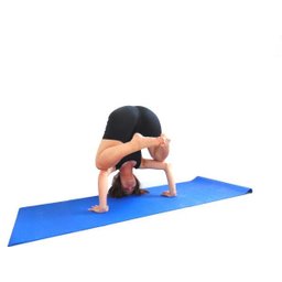 Kit treino yoga ref. 5001 Com faixa elática tipo thera band, tapete 173cm x 61cm, bola suiça 40cm - 5 Kit treino yoga ref. 5001 Com faixa elática tipo thera band, tapete 173cm x 61cm, bola suiça 40cm - 5