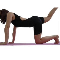 Tapete Colchonete Portátil com Alça para Yoga Pilates e diversos exercicios (173cmx61cmx0,6CM) -  - 5