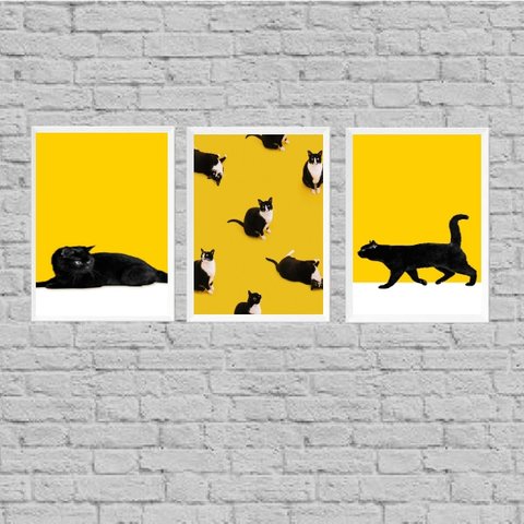 Kit 3 Quadros Gato Preto E Amarelo 33x24cm:Madeira branca