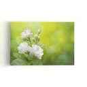 Ver imagem 1 de Quadro Jasmim-árabe Flor Branca Natureza Canvas 60x40cm