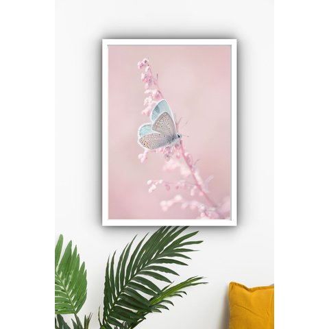 Quadro Decorativo Borboleta Azul Flor Rosa - 70x50cm:moldura Branca